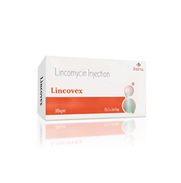 Lincovex